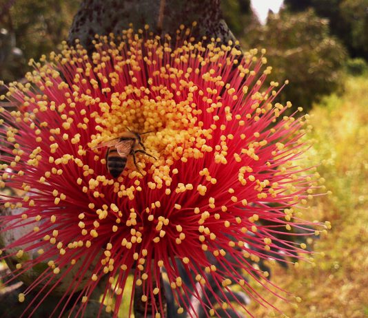 סטארטאפים יזמים ומשקיעים ב'כנס הראשון לחדשנות בחקלאות' שיתקיים בערבה 15.2